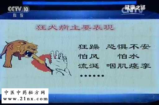 狂犬病的主要表现