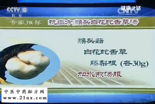 猴头白花蛇舌草汤