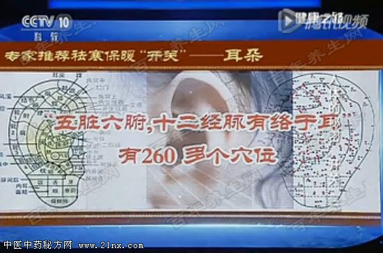 祛寒保暖的耳朵