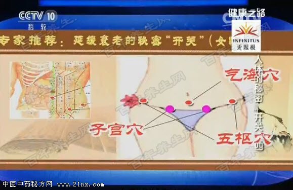 延缓开关的穴位