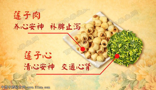莲子的功效