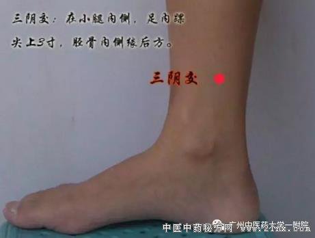 三阴交