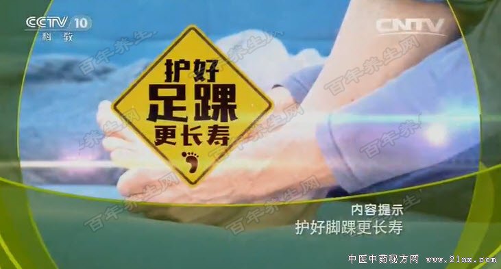 �������׸�����