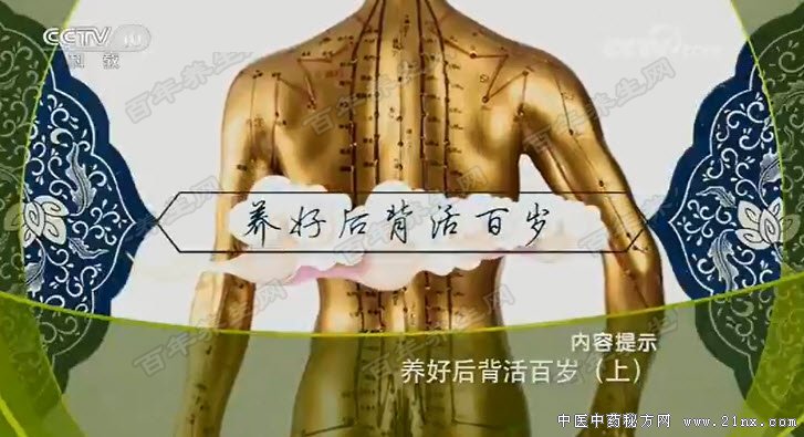 ���ú󱳻����