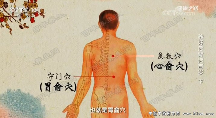 ���ú󱳻����