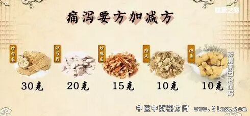 痛泻要方加减方