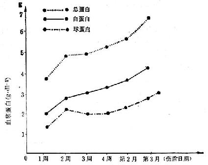 5例(烧伤面积55~70/Ⅲ°40~70%)烧伤后血浆蛋白的变化