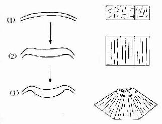 񾭹γɹϸ״΢˿΢䲼仯Ĺϵ 