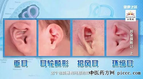 ֮·20181119:ܽ,,֬,