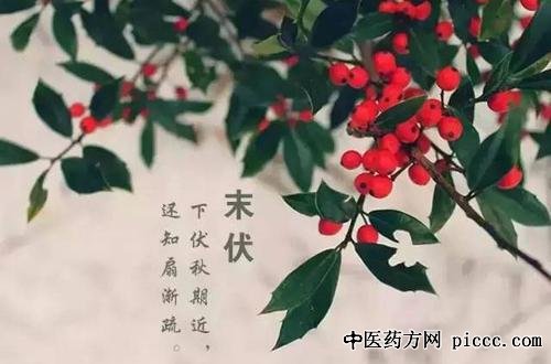 20200819:ĩҲԹ,,ԹΣȺ