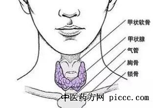 健康之路20220325:高莹,关注甲状腺,解读甲状腺功能检查报告单