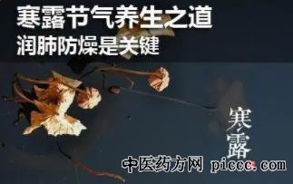 健康之路20221008:三候菊有黄花,饮菊花酒,寒露时节如何养生