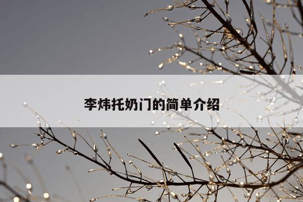 李炜托奶门的简单介绍