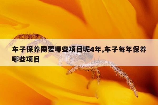 车子保养需要哪些项目呢4年,车子每年保养哪些项目