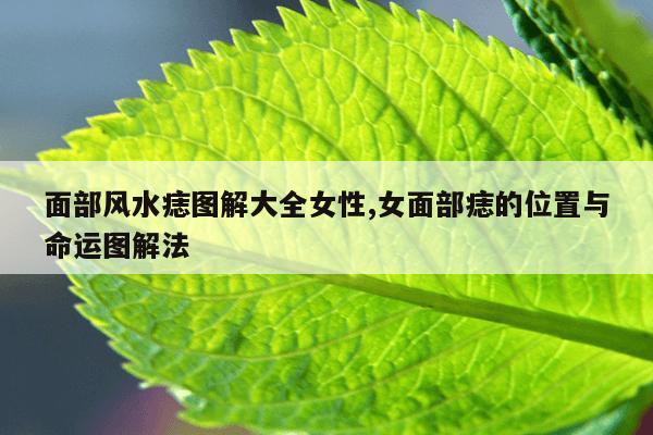 面部风水痣图解大全女性,女面部痣的位置与命运图解法