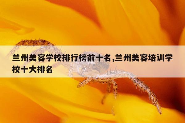 兰州美容学校排行榜前十名,兰州美容培训学校十大排名