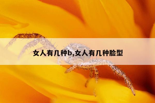 女人有几种b,女人有几种脸型