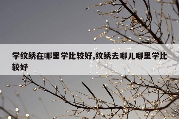 学纹绣在哪里学比较好,纹绣去哪儿哪里学比较好