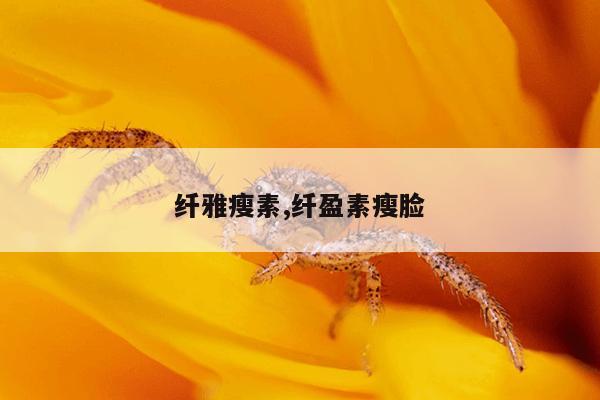 纤雅瘦素,纤盈素瘦脸