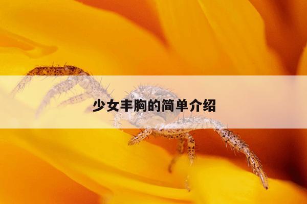 少女丰胸的简单介绍