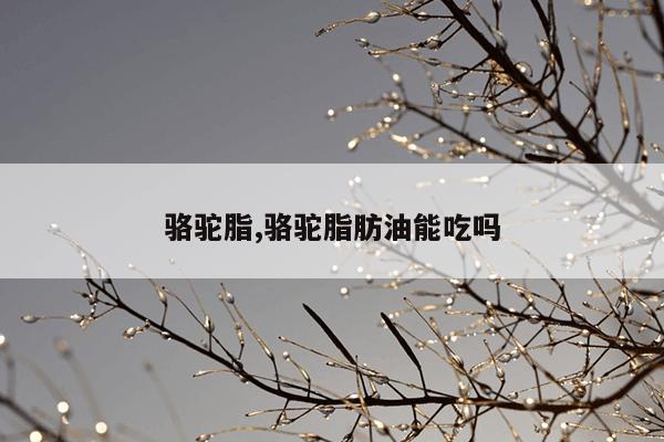 骆驼脂,骆驼脂肪油能吃吗