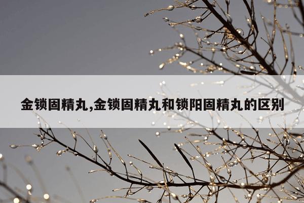 金锁固精丸,金锁固精丸和锁阳固精丸的区别
