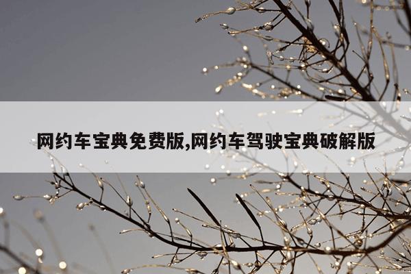 网约车宝典免费版,网约车驾驶宝典破解版