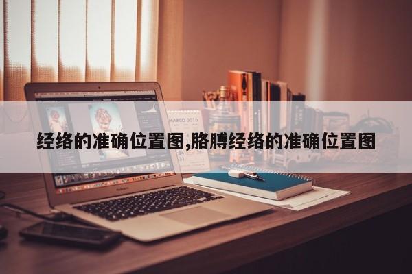 经络的准确位置图,胳膊经络的准确位置图