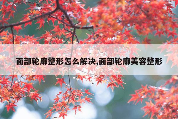 面部轮廓整形怎么解决,面部轮廓美容整形