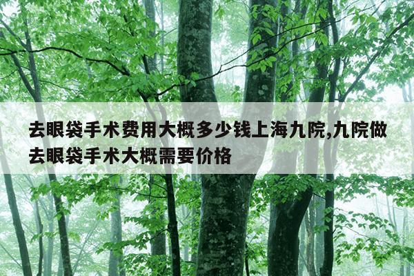 去眼袋手术费用大概多少钱上海九院,九院做去眼袋手术大概需要价格