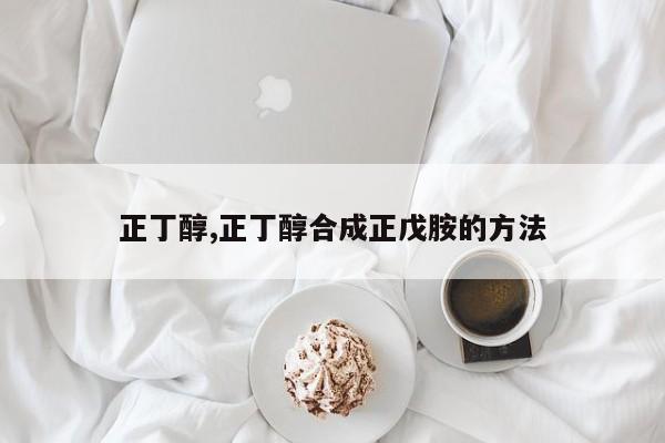 正丁醇,正丁醇合成正戊胺的方法