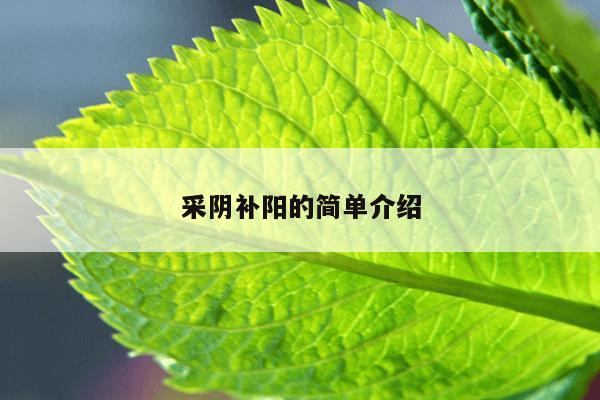 采阴补阳的简单介绍