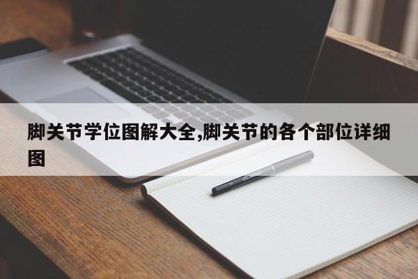 脚关节学位图解大全,脚关节的各个部位详细图