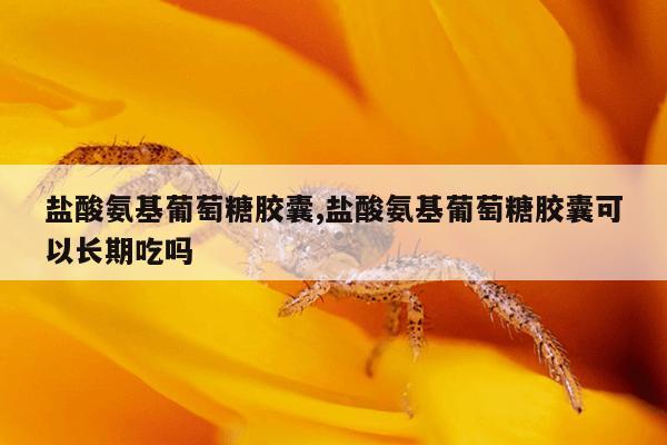 盐酸氨基葡萄糖胶囊,盐酸氨基葡萄糖胶囊可以长期吃吗