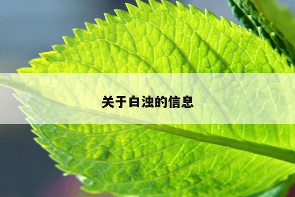 关于白浊的信息