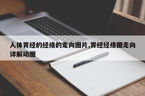 人体胃经的经络的走向图片,胃经经络图走向详解动图