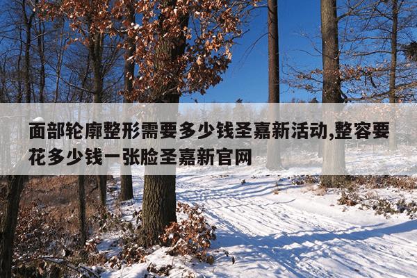面部轮廓整形需要多少钱圣嘉新活动,整容要花多少钱一张脸圣嘉新官网