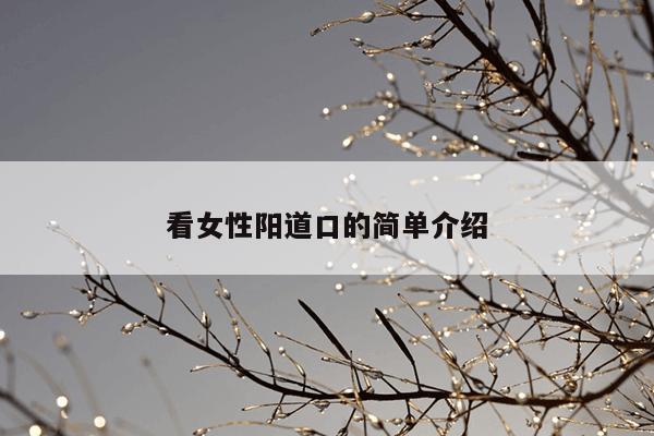 看女性阳道口的简单介绍