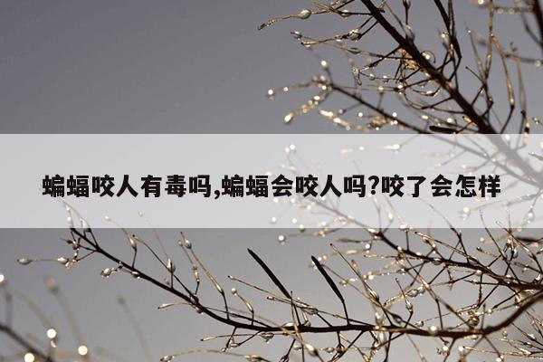 蝙蝠咬人有毒吗,蝙蝠会咬人吗?咬了会怎样