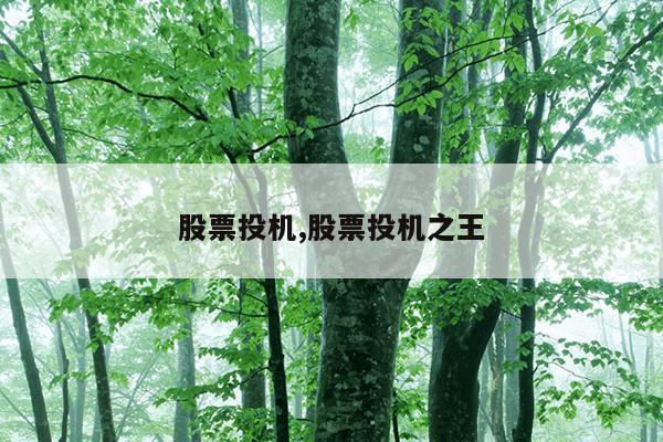 股票投机,股票投机之王