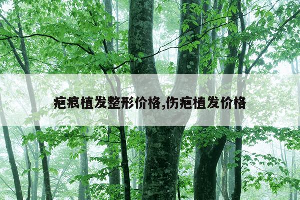 疤痕植发整形价格,伤疤植发价格