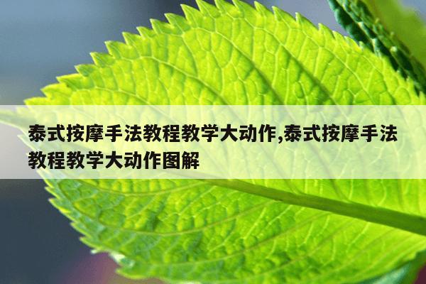 泰式按摩手法教程教学大动作,泰式按摩手法教程教学大动作图解