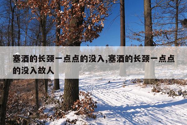 塞酒的长颈一点点的没入,塞酒的长颈一点点的没入故人