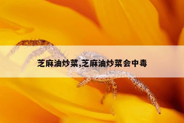 芝麻油炒菜,芝麻油炒菜会中毒