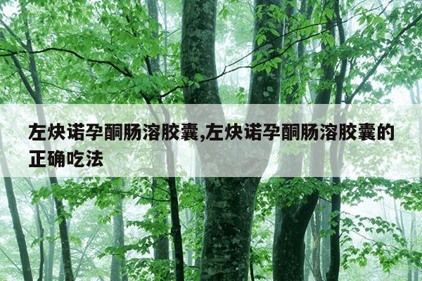 左炔诺孕酮肠溶胶囊,左炔诺孕酮肠溶胶囊的正确吃法