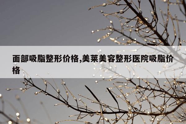面部吸脂整形价格,美莱美容整形医院吸脂价格