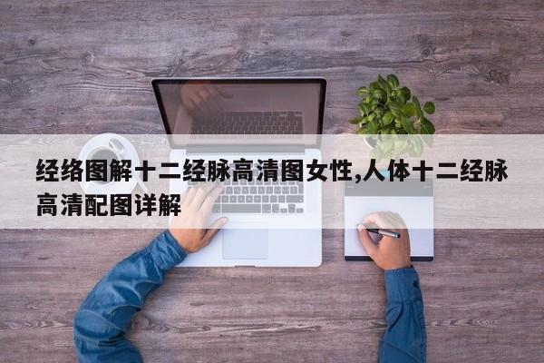 经络图解十二经脉高清图女性,人体十二经脉高清配图详解