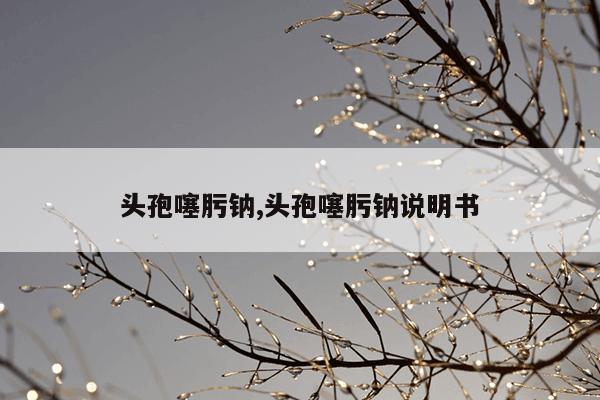 头孢噻肟钠,头孢噻肟钠说明书