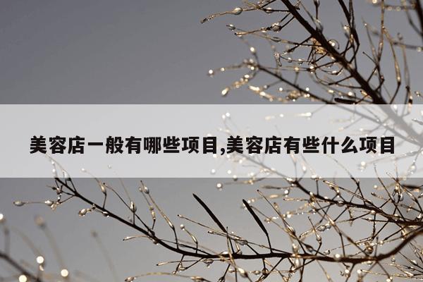 美容店一般有哪些项目,美容店有些什么项目