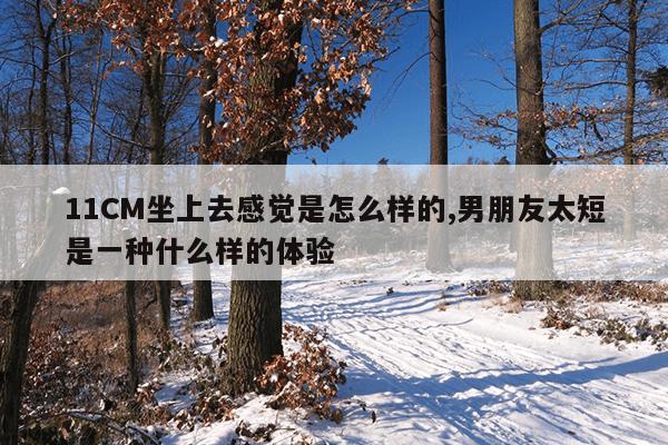 11CM坐上去感觉是怎么样的,男朋友太短是一种什么样的体验